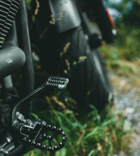 Pedal bike overview