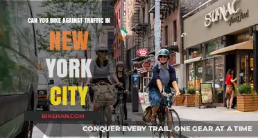 Navigating NYC Streets: The Do's and Don'ts of Biking Against Traffic