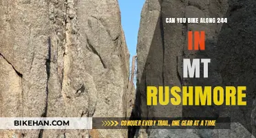 Exploring the Scenic Route: Biking Along Highway 244 Near Mount Rushmore