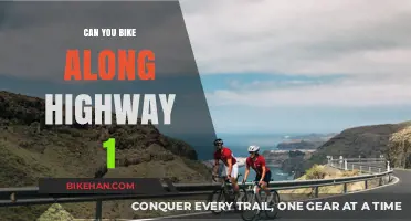 Exploring Highway 1: A Guide to Safe and Scenic Biking Adventures