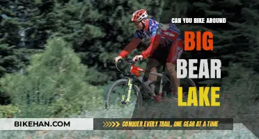 Exploring Big Bear Lake: A Cyclist's Guide to Scenic Routes