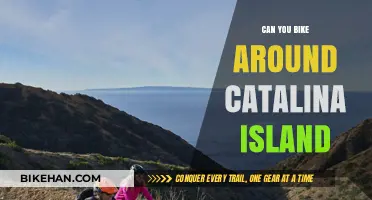 Exploring Catalina Island: A Cyclist's Guide to Paradise