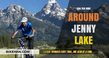 Exploring Jenny Lake: A Cyclist's Guide to Scenic Routes and Hidden Gems