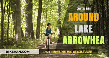 Exploring Lake Arrowhead: A Cyclist's Guide to Scenic Routes