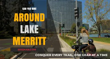 Exploring Lake Merritt: A Cyclist's Guide to Scenic Routes and Hidden Gems