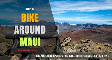 Exploring Maui: A Cyclist's Guide to Paradise