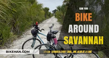 Exploring Savannah: A Comprehensive Guide to Biking Around the City