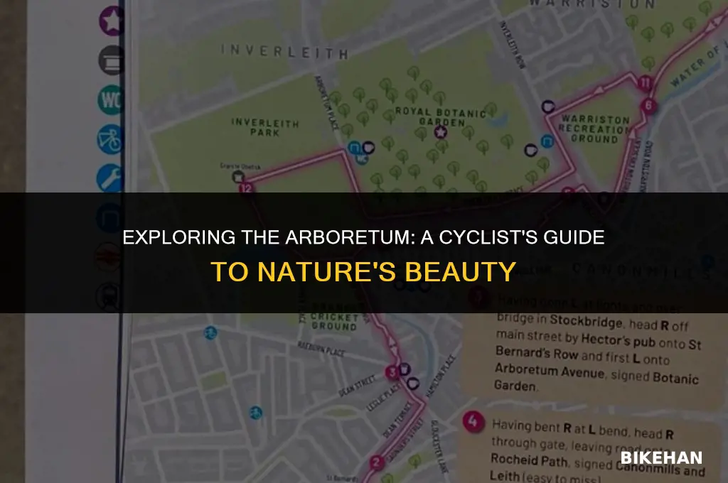 can you bike around the arboretum