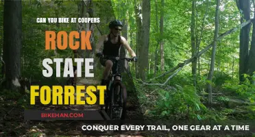 Exploring Coopers Rock State Forest: A Biker's Guide