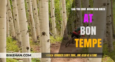 Exploring Bon Tempe: Mountain Biking Adventures Await