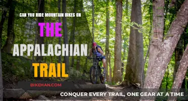 Exploring the Appalachian Trail: Mountain Biking Adventures Await