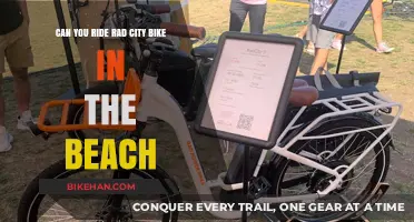 Beachside Bliss: Exploring Shores on a Rad City Bike