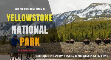 Exploring Yellowstone: Road Biking Adventures in America's First National Park
