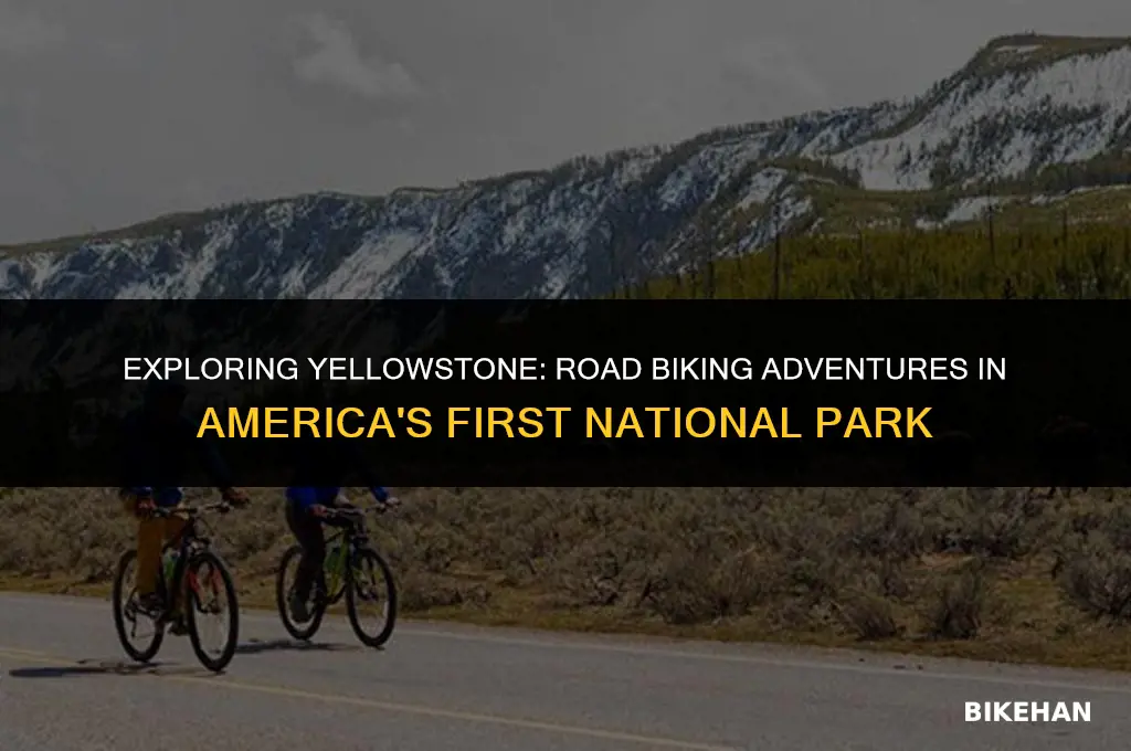 can you ride road bikes in yellowstone national park