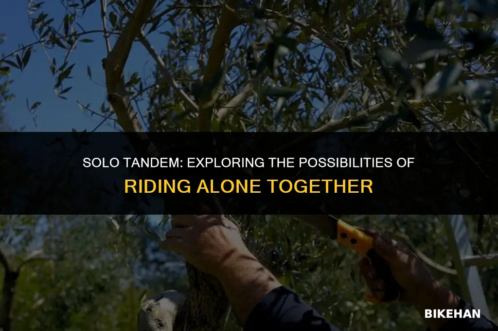 can you ride tandem bike alone