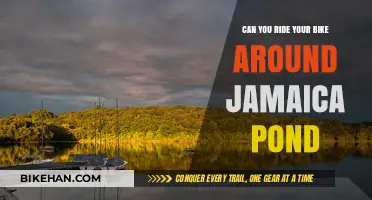 Exploring Jamaica Pond: A Cyclist's Guide to Scenic Routes