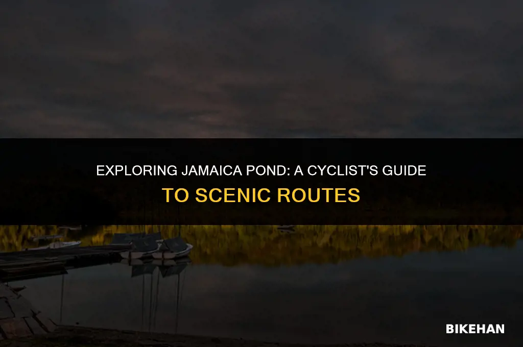 can you ride your bike around jamaica pond