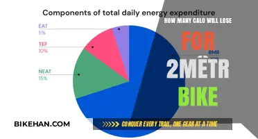 Calorie Burn Breakdown: Your Guide to Losing Weight by Biking 2 Miles