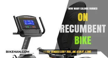 Rev Up Your Metabolism: The Calorie-Burning Power of Recumbent Biking