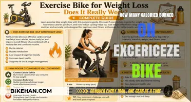 Rev Up Your Metabolism: Calories Burned on an Exercise Bike
