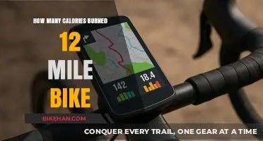 Calories Burned on a 12-Mile Bike Ride: A Comprehensive Guide