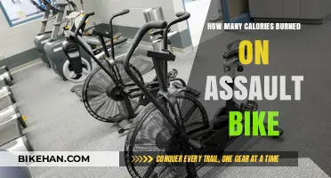 Torch Calories with Assault Bike: Your Ultimate Fitness Companion