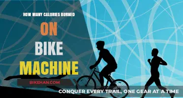 Rev Up Your Metabolism: The Calorie-Burning Power of Stationary Bikes