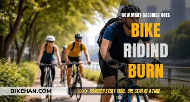 Rev Up Your Metabolism: The Calorie-Burning Power of Cycling