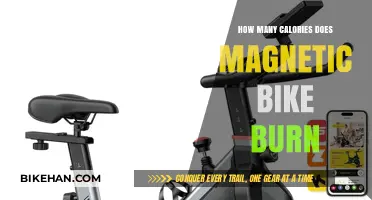 Rev Up Your Metabolism: The Calorie-Burning Power of Magnetic Bikes