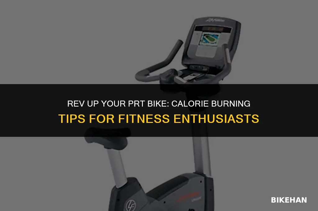how many calories to burn for prt bike