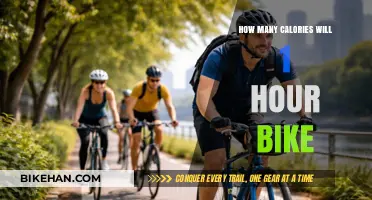 Burn Calories, Not Time: The Ultimate Guide to Cycling for Weight Loss