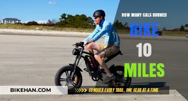 Calorie Burn Breakdown: Biking 10 Miles for Fitness Enthusiasts