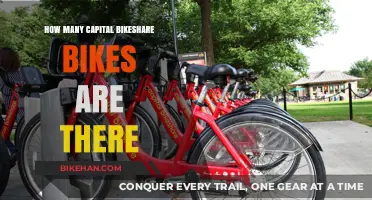 Exploring the Fleet: A Look at Capital Bikeshare's Bike Count