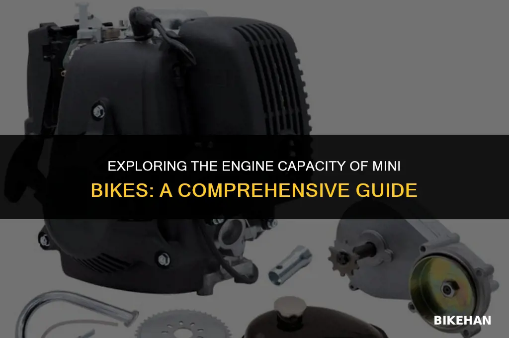 how many cc is a mini bike