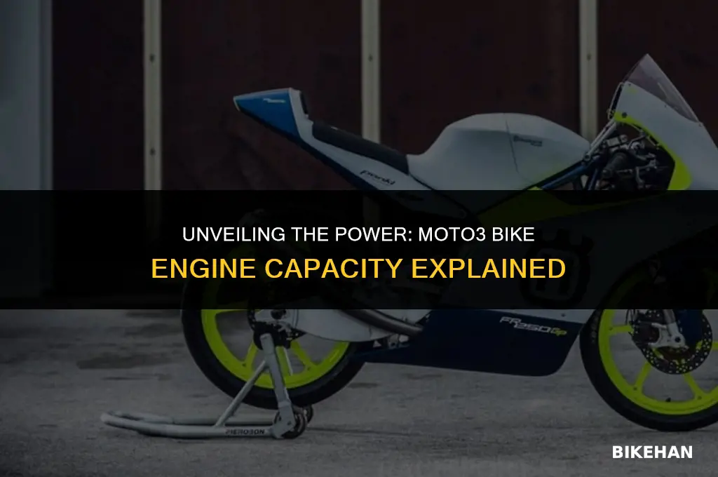how many cc is a moto3 bike