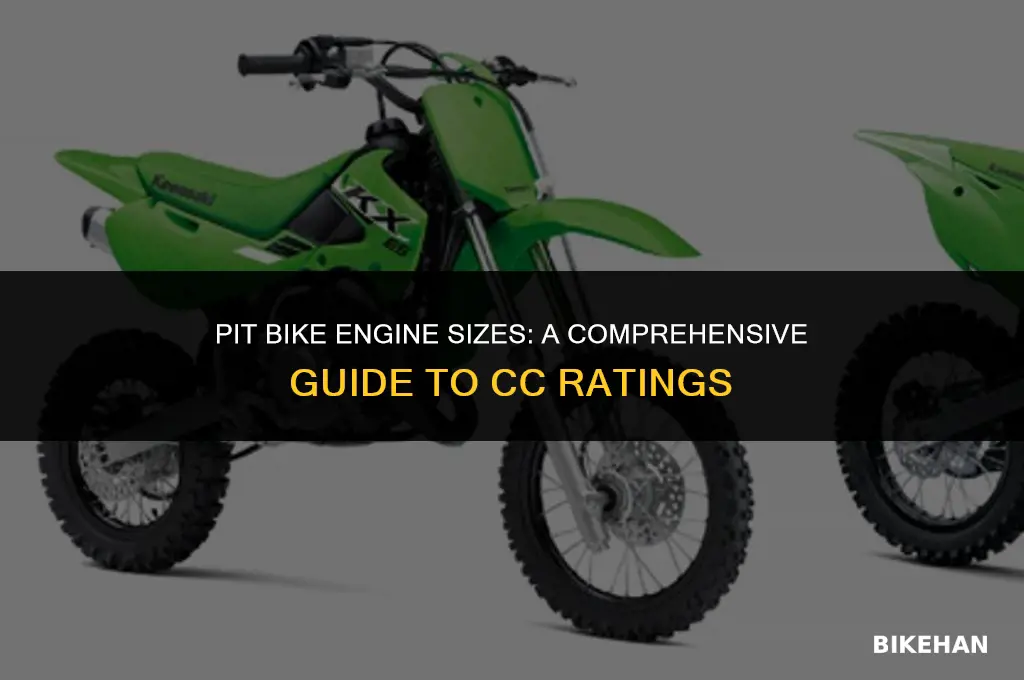 how many cc is a pit bike