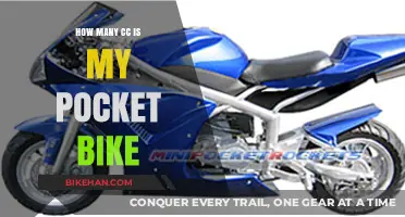 Pocket Bike Power: How Many CCs Does Yours Have?