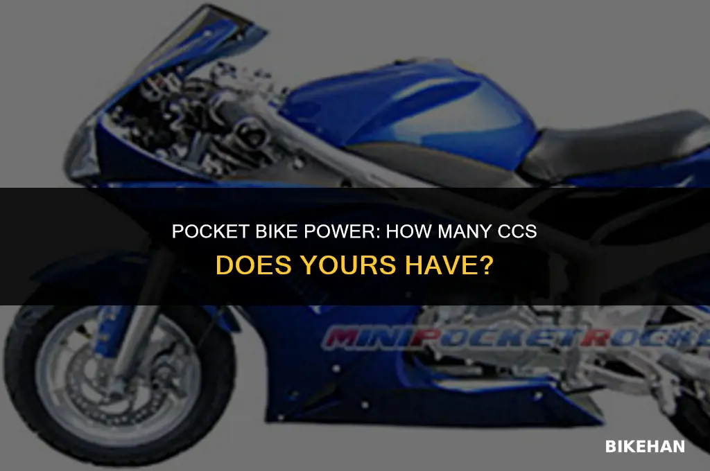 how many cc is my pocket bike