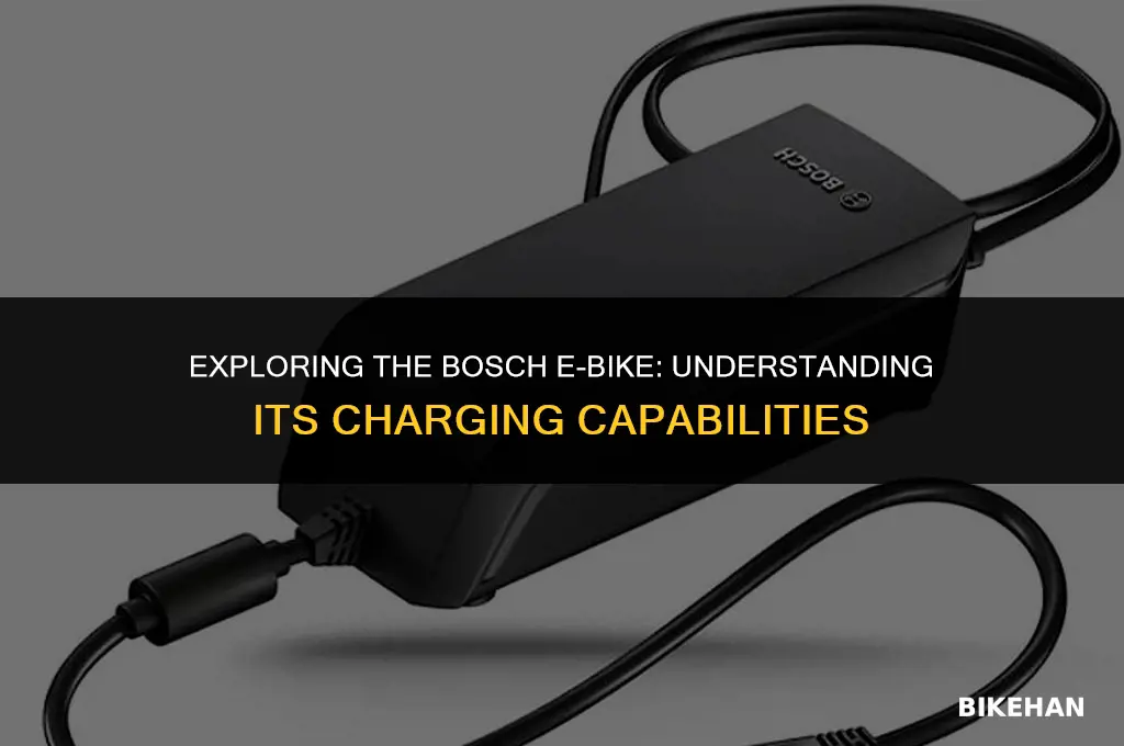 how many charges on a bosche e bike