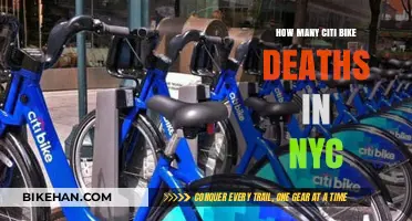 Exploring the Impact of Citi Bike Deaths on NYC's Streets