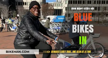 Exploring Urban Sustainability: Cities Embracing Blue Bikes Initiative