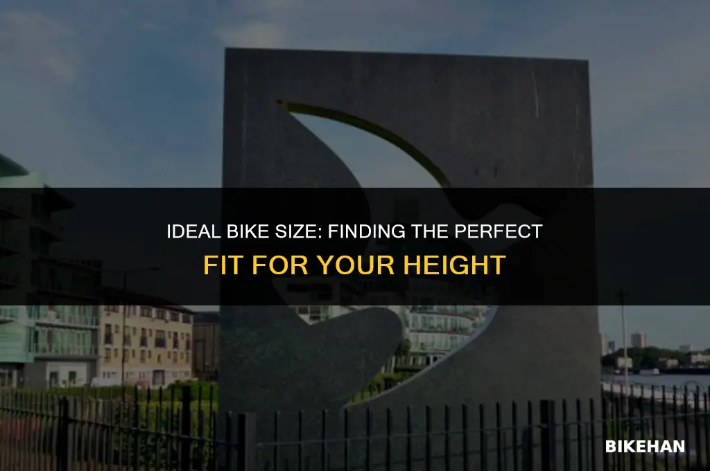how many cm should my bike bbe