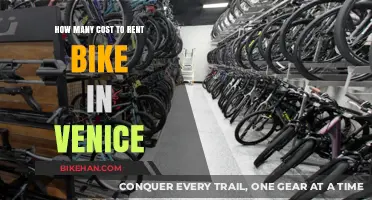 Exploring Venice on Two Wheels: A Guide to Bike Rental Costs