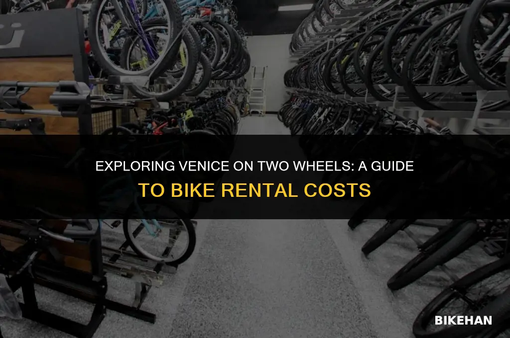 how many cost to rent bike in venice