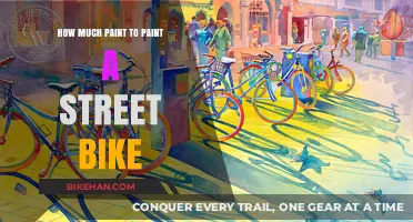 Revamping Your Ride: A Guide to Painting Your Street Bike