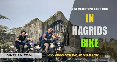 Exploring the Magical Capacity of Hagrid's Enchanting Motorbike