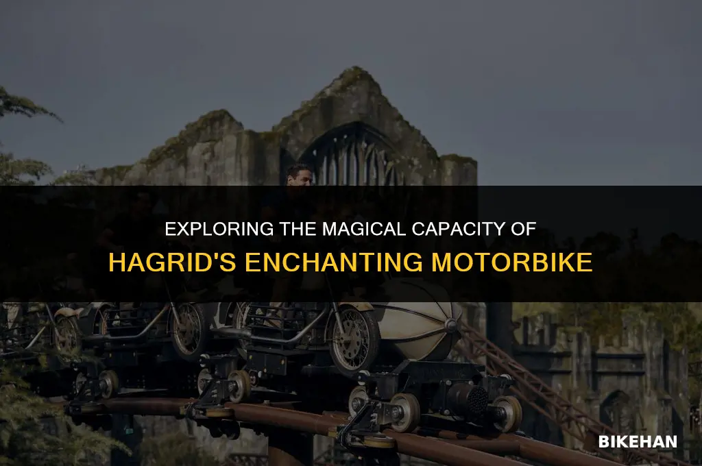 how much people could hold in hagrids bike