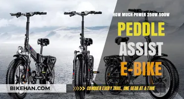 Exploring the Power Dynamics of 250W vs 500W Pedal Assist E-Bikes