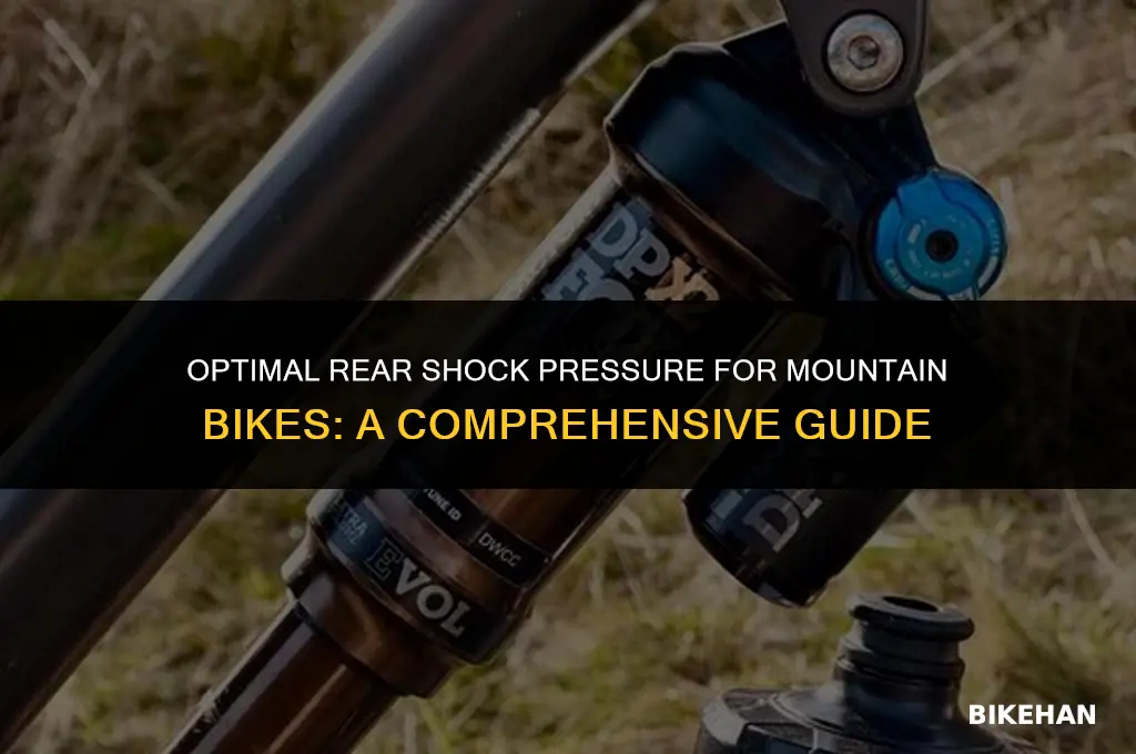 how much pressure should rear shock bike have