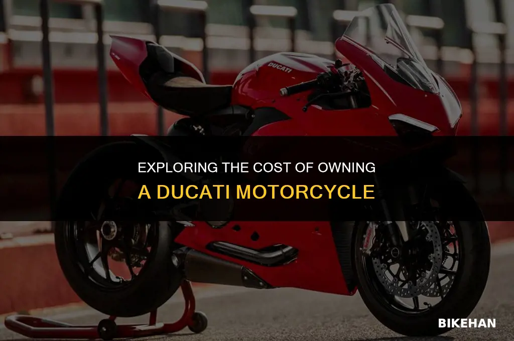 how much price ducati bike